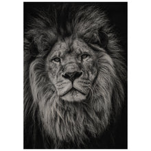 Load image into Gallery viewer, Black and White Lion
