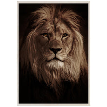 Load image into Gallery viewer, Magestic Lion
